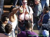 Click to view big image Flasher0133.jpg